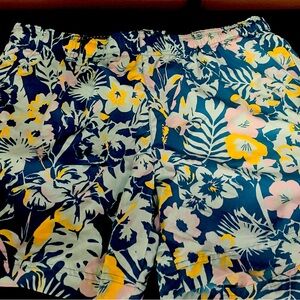 Columbia Women’s PFG Super Backcast Water Shorts (Size L)